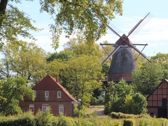 Mühle Margarethe Eystrup Historische Windmühle Margarethe in Eystrup, umgeben von altem Fachwerk und üppigem Grün.
