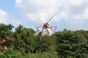Mühle Margarethe Eystrup Mühle Margarethe in Eystrup, umgeben von Bäumen, mit markanten roten Flügeln vor blauem Himmel.