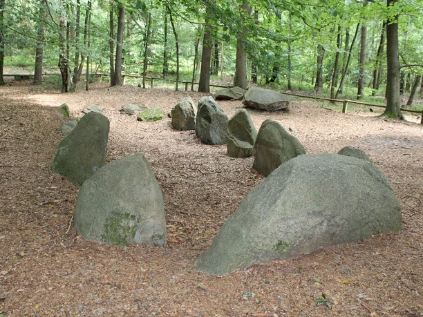 Steine in halbrunder Anordnung im Wald bedeckt mit herabgefallenem Laub, umgeben von grünen Bäumen.