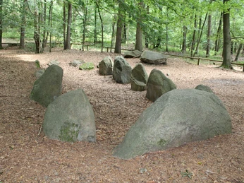 Großsteingrab Steine in halbrunder Anordnung im Wald bedeckt mit herabgefallenem Laub, umgeben von grünen Bäumen.