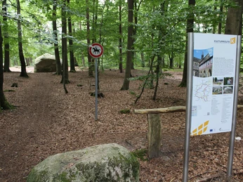 Waldweg im Giebichenstein Stöckse mit Infotafel der Kulturroute, umgeben von Bäumen und Waldboden.