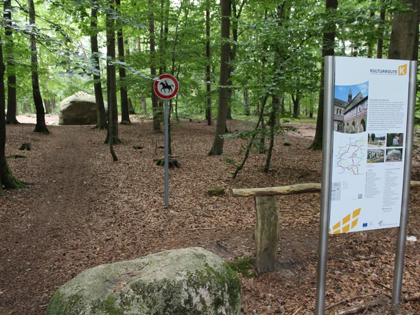 Giebichenstein Stöckse an der Kulturroute Waldweg im Giebichenstein Stöckse mit Infotafel der Kulturroute, umgeben von Bäumen und Waldboden.