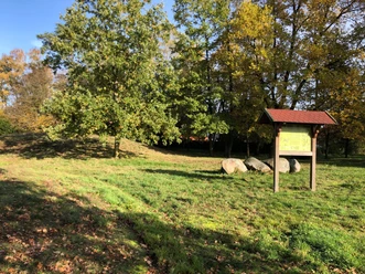 Gräser umrahmen Informationstafel und große Steine, Bäume im Hintergrund beschatten das Grabhügelfeld.