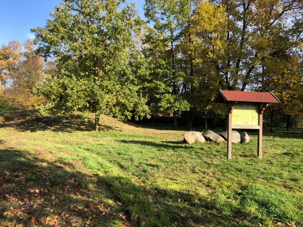Grabhügelfeld in Nienburg Gräser umrahmen Informationstafel und große Steine, Bäume im Hintergrund beschatten das Grabhügelfeld.