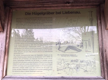 Hügelgräber Informationstafel über Hügelgräber bei Liebenau mit historischen Texten und Illustrationen.