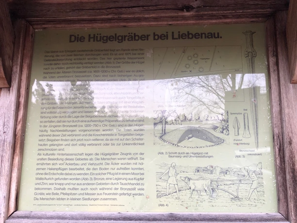 Hügelgräber Informationstafel über Hügelgräber bei Liebenau mit historischen Texten und Illustrationen.