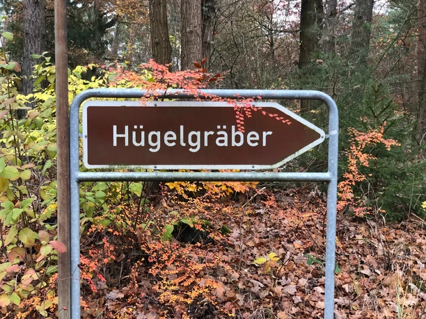 Hügelgräber Hinweisschild zu prähistorischen Hügelgräbern im herbstlichen Wald, umgeben von buntem Laub.