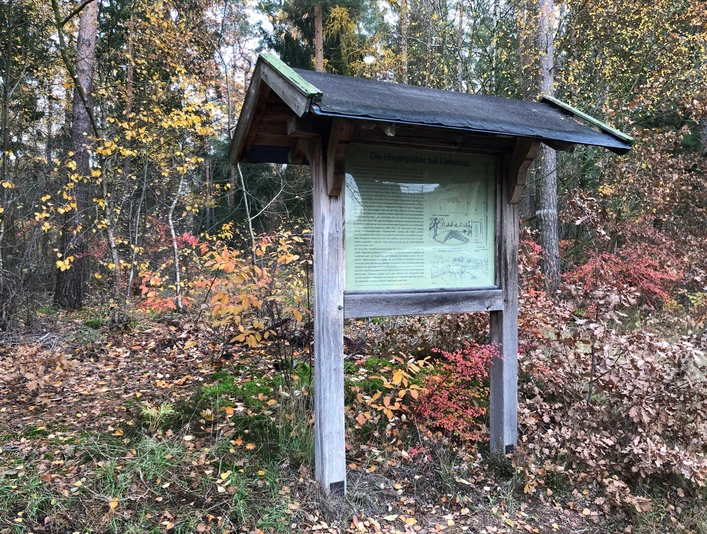 Eine Informationstafel steht am Waldrand, umgeben von buntem Herbstlaub und hohen Bäumen.