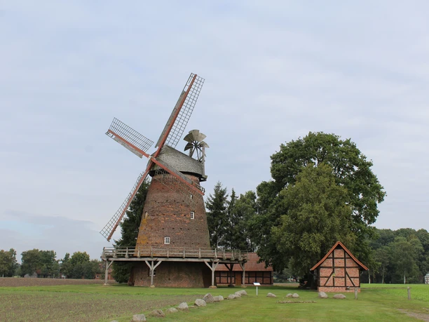 Windmühle Hoyersförde Historische Windmühle Hoyersförde vor bewölktem Himmel, umgeben von Bäumen und einem Fachwerkgebäude.