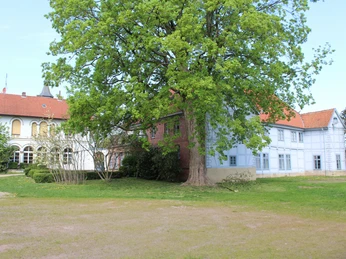 Historisches Gebäudeensemble des Heimatmuseums Grafschaft Hoya, umgeben von Grün und Bäumen.
