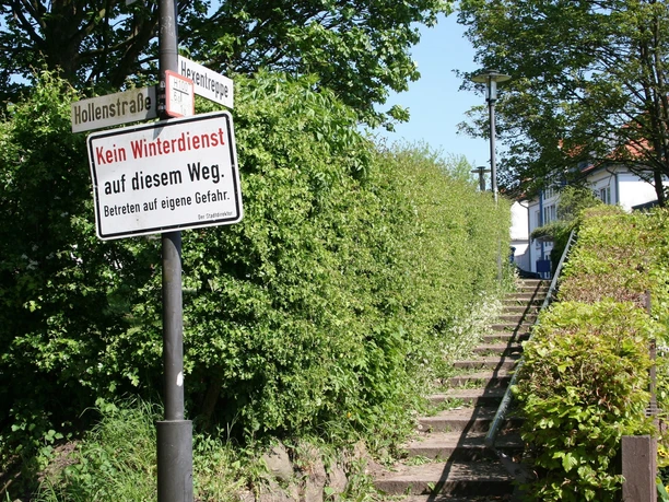 Hexentreppe Eine grüne Treppe führt mit einem Schild "Kein Winterdienst" durch üppiges Laub ins Unbekannte.
