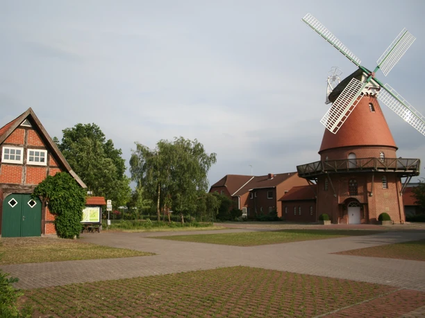 Historische Windmühle in Landesbergen mit rotem Backsteinsockel und weißen Flügeln, flankiert von Bäumen.
