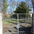 Jüdischer Friedhof Nienburg Metalltor mit Davidstern-Motiven öffnet den Zugang zu einem von Bäumen umgebenen Friedhof.