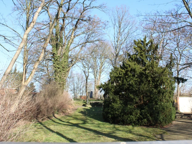 Grüne Bäume und Sträucher umgeben Grabsteine auf einem ruhigen, friedlichen jüdischen Friedhof.