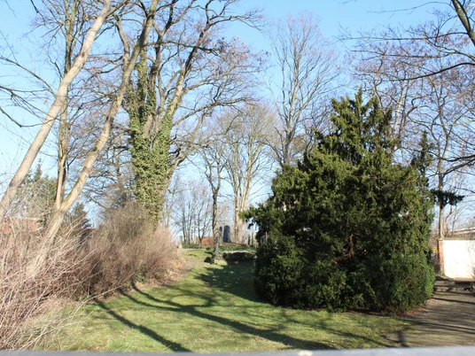 Jüdischer Friedhof Grüne Bäume und Sträucher umgeben Grabsteine auf einem ruhigen, friedlichen jüdischen Friedhof.