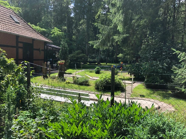 A mini-golf course in a green setting, surrounded by tall trees and well-maintained vegetation, with stepping stones.