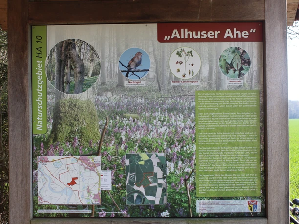 Infotafel des Naturschutzgebiets Alhuser Ahe mit Informationen zu Flora und Fauna, inklusive Karten.