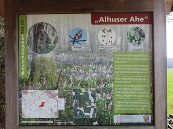 Alhuser Ahe Infotafel Infotafel des Naturschutzgebiets Alhuser Ahe mit Informationen zu Flora und Fauna, inklusive Karten.