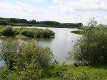 Ruhiger See in einer grünen Landschaft mit bewachsenen Ufern und Bäumen unter wolkenbedecktem Himmel.