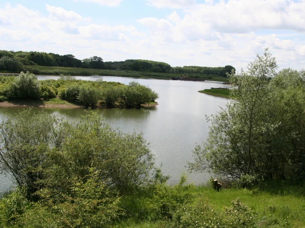 Liebenauer Gruben Ruhiger See in einer grünen Landschaft mit bewachsenen Ufern und Bäumen unter wolkenbedecktem Himmel.