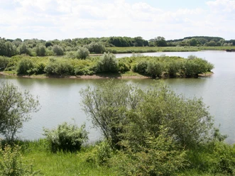 Naturbelassene Wasserlandschaft mit dicht bewachsenen Ufern, umgeben von üppigem Grün.