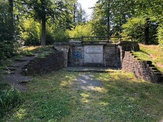 Ruinen einer historischen Steinmauer inmitten eines lichten Waldes an einem sonnigen Tag.