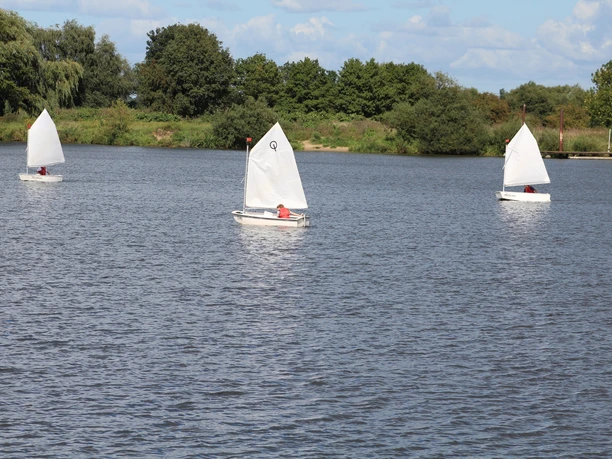Drei kleine Segelboote mit weißen Segeln auf einem ruhigen See umgeben von grünen Bäumen.