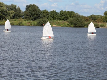 Segeln auf dem Wieltsee Drei kleine Segelboote mit weißen Segeln auf einem ruhigen See umgeben von grünen Bäumen.