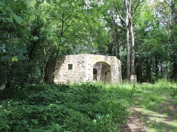 Mühlenruine Rehburg Verfallenes Mauerwerk der Mühlenruine Rehburg, umgeben von dichtem Grün und hohen Bäumen.