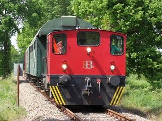 Pingelheini Pingelheini, ein historischer Zug mit roter Lokomotive, fährt durch grüne, bewaldete Landschaften.