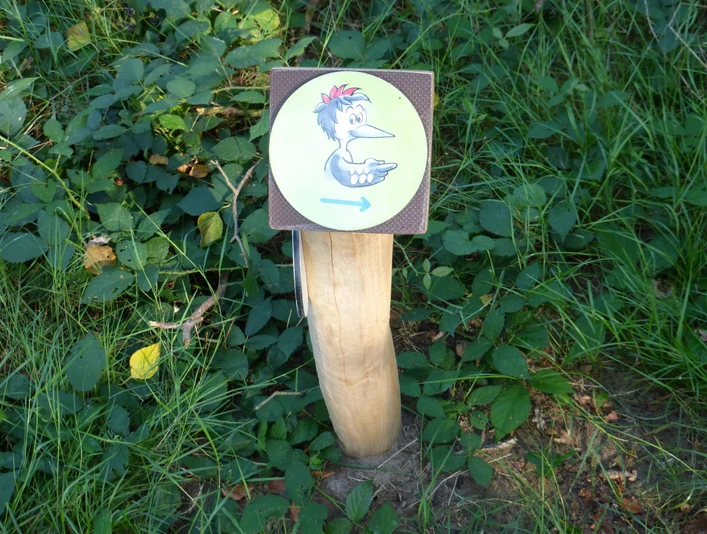 Ein hölzerner Wegweiser mit einem illustrierten Vogel zeigt den Weg im grünen Achimer Stadtwald.