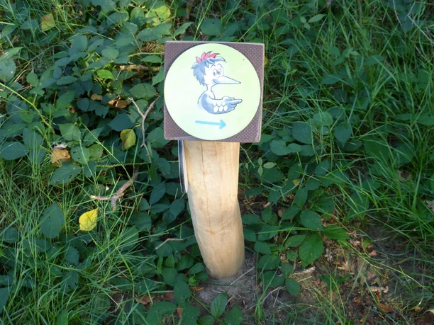 Naturerlebnispfad Achimer Stadtwald Ein hölzerner Wegweiser mit einem illustrierten Vogel zeigt den Weg im grünen Achimer Stadtwald.