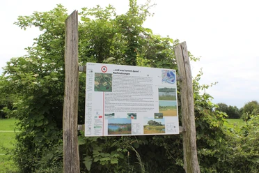Informationsschild über den Naturlehrpfad Im Röden Stolzenau zwischen zwei Holzpfosten vor grüner Vegetation.
