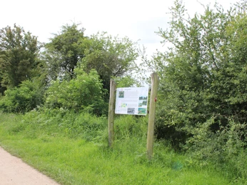 Ein gepflegter Naturpfad verläuft neben üppigem Grün und einem Lehrpfad-Schild im freien Gelände.