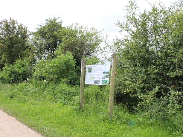 Naturpfard im Röden Stolzenau Ein gepflegter Naturpfad verläuft neben üppigem Grün und einem Lehrpfad-Schild im freien Gelände.
