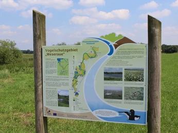 Weseraue Informationstafel des Vogelschutzgebietes "Weseraue", umgeben von grüner Landschaft und blauen Himmel.
