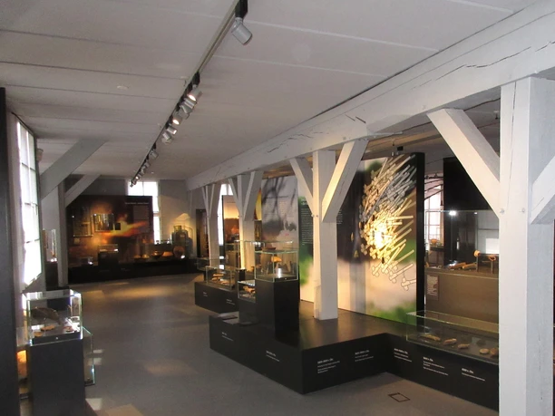 Archaeological finds are stylishly presented in a modern exhibition room in the Nienburg Museum.