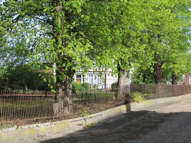 Drei große Bäume stehen vor einem schmiedeeisernen Zaun mit Blick auf ein altes Fachwerkhaus.