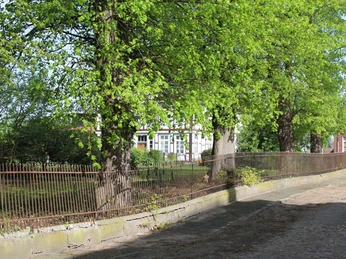 Rittergut von Behr Drei große Bäume stehen vor einem schmiedeeisernen Zaun mit Blick auf ein altes Fachwerkhaus.