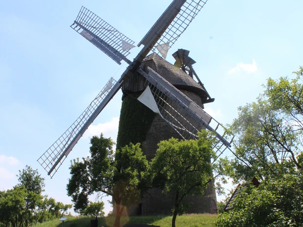 Seelenfelder Königsmühle Historische Seelenfelder Königsmühle mit grüner Fassade, von Bäumen umgeben an einem sonnigen Tag.