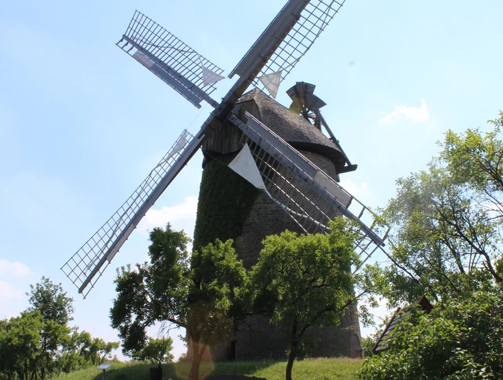 Seelenfelder Königsmühle Historische Seelenfelder Königsmühle mit grüner Fassade, von Bäumen umgeben an einem sonnigen Tag.
