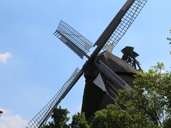 Seelenfelder Königsmühle Historische Windmühle mit vier beeindruckenden Flügeln vor klarem blauem Himmel und grünen Bäumen.