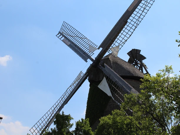 Seelenfelder Königsmühle Historische Windmühle mit vier beeindruckenden Flügeln vor klarem blauem Himmel und grünen Bäumen.