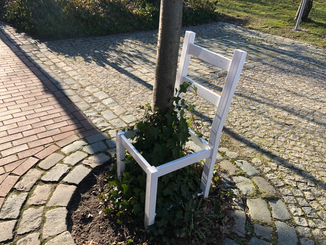 Der Baum im ZEN-T-RUM Ein weißer Stuhl ohne Sitzfläche umsäumt einen Baum, umgeben von Kopfsteinpflaster und Rasen.