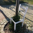 Der Baum im ZEN-T-RUM Ein weißer Stuhl ohne Sitzfläche umsäumt einen Baum, umgeben von Kopfsteinpflaster und Rasen.