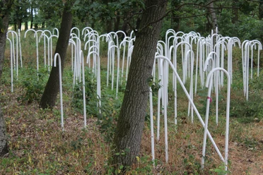Weiße Metallrohre formen eine eindrucksvolle Waldinstallation, die sich geheimnisvoll durch Bäume schlängelt.