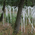 Weiße Metallrohre formen eine eindrucksvolle Waldinstallation, die sich geheimnisvoll durch Bäume schlängelt.