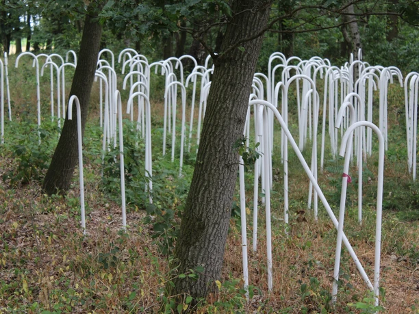 Skulptur "Einhundertneununddreißig" Weiße Metallrohre formen eine eindrucksvolle Waldinstallation, die sich geheimnisvoll durch Bäume schlängelt.