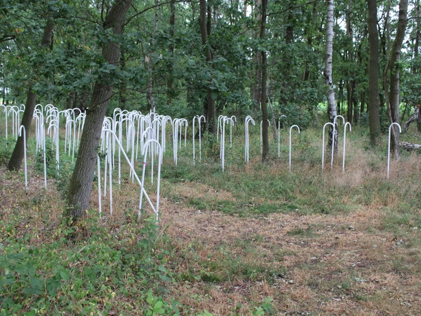 Skulptur "Einhundertneununddreißig" Weiße Skulpturen ragen aus dem Waldboden empor, umgeben von Bäumen und Gras in natürlicher Umgebung.