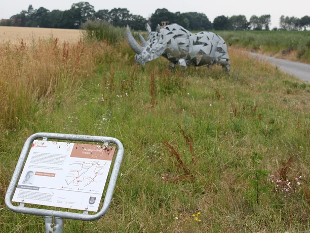 Metallskulptur eines Nashorns in einem grünen Feld nahe einem Weg, mit Infotafel im Vordergrund.
